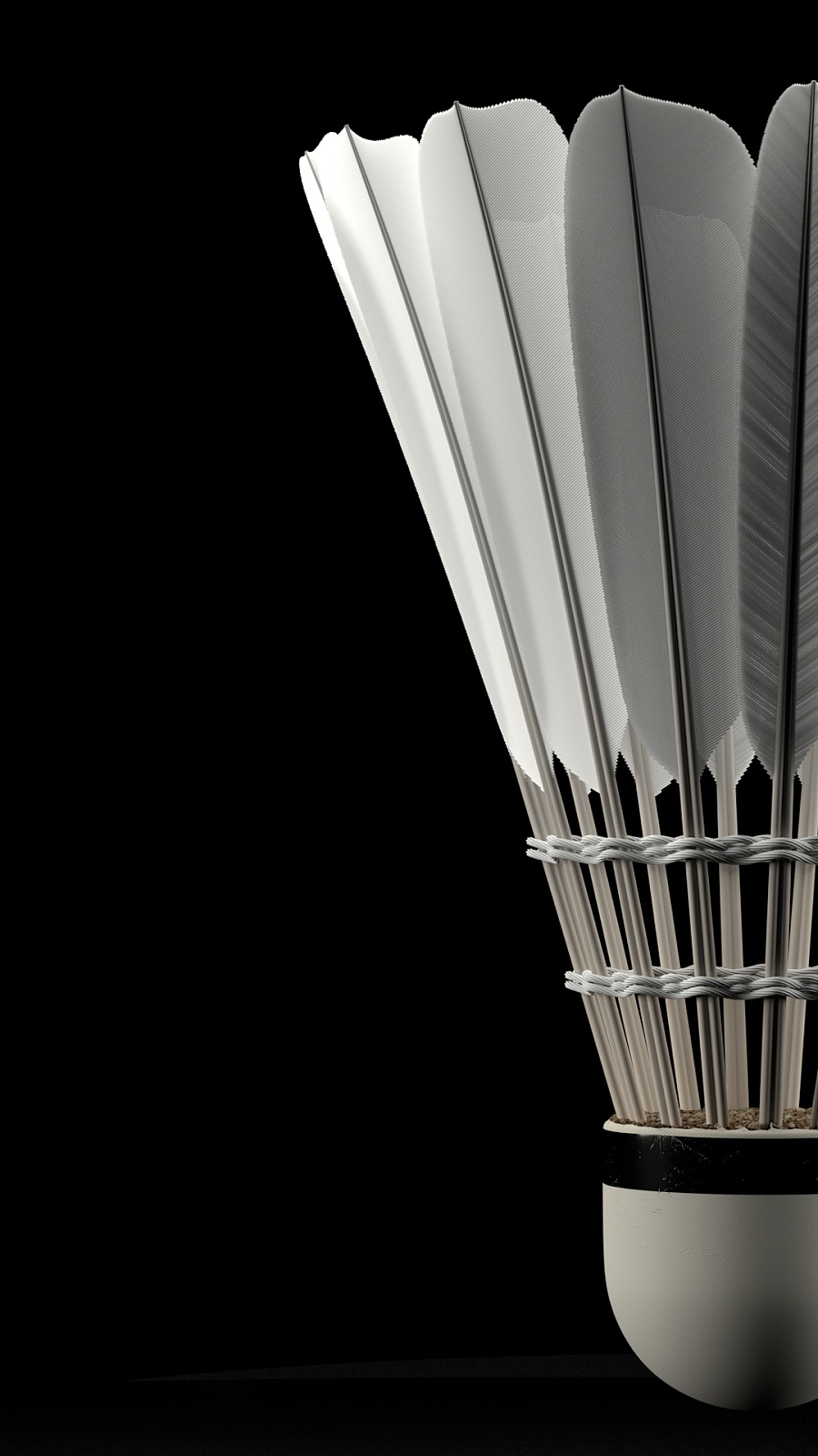 尽管团队遭 尽管团队遭