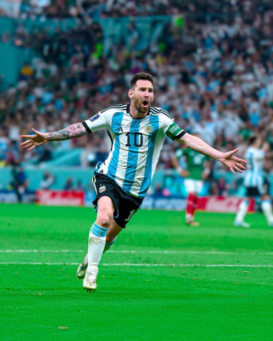 华的象征 华的象征