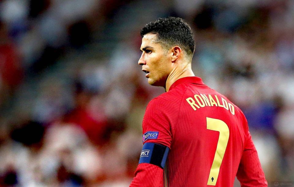 在此环节性 在此环节性